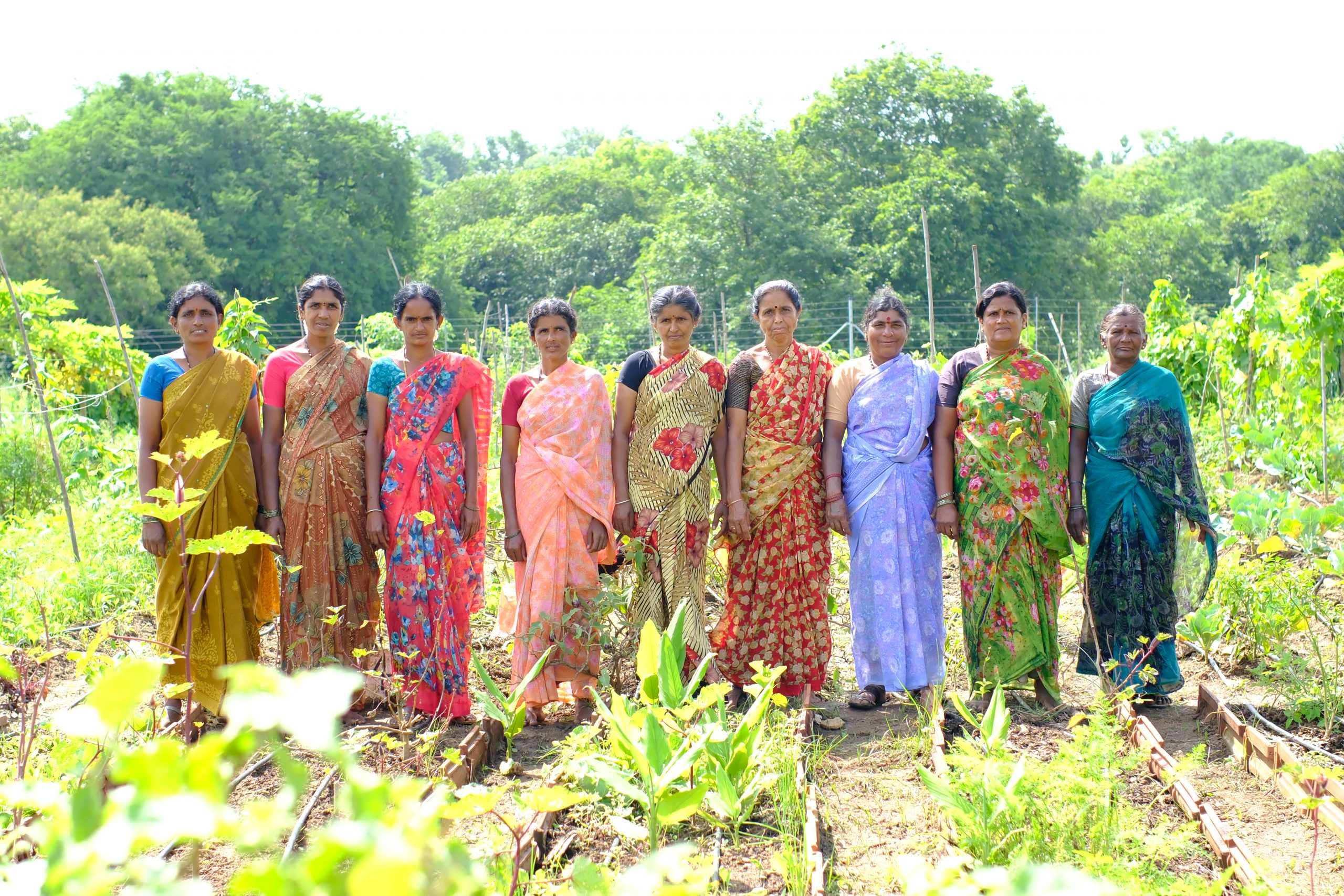 The Kai Thota team from Kariyappanadoddi